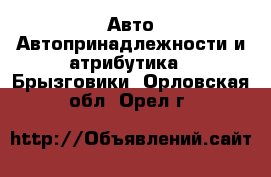 Авто Автопринадлежности и атрибутика - Брызговики. Орловская обл.,Орел г.